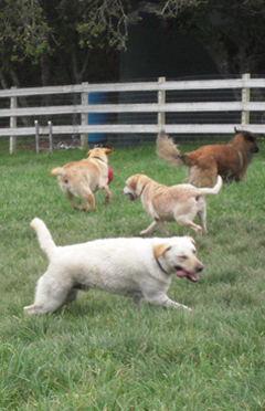 More Blowing off Steam