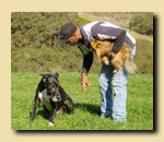 Steve and Varni telling Amadeus to sit.